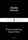 It Was Snowing Butterflies