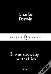 Capa do artigo It Was Snowing Butterflies