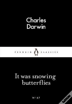 Capa do artigo It Was Snowing Butterflies