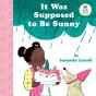It Was Supposed To Be Sunny - Preview