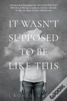 It Wasn'T Supposed To Be Like This