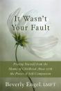 It Wasn'T Your Fault - Preview