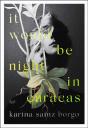It Would Be Night In Caracas - Preview
