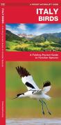 Italy Birds - Preview