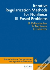Iterative Regularization Methods For Nonlinear Ill-Posed Problems
