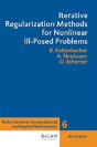 Iterative Regularization Methods For Nonlinear Ill-Posed Problems - Preview