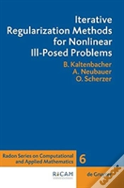 Capa do artigo Iterative Regularization Methods For Nonlinear Ill-Posed Problems