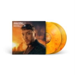 Capa do artigo It'll All Make Sense in the End - Vinil