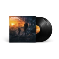 Capa do artigo It'll All Make Sense in the End - Vinil