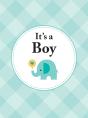 It'S A Boy - Preview