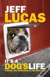 It'S A Dog'S Life