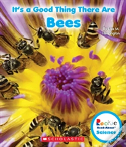Capa do artigo Its A Good Thing There Are Bees