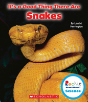 Its A Good Thing There Are Snakes - Preview
