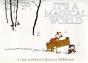 It'S A Magical World - Preview