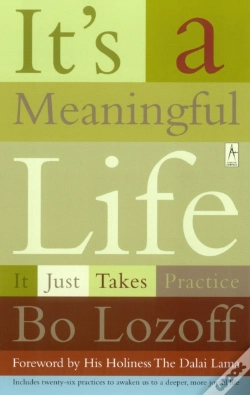 Capa do artigo It'S A Meaningful Life