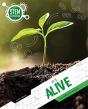 It'S Alive - Preview
