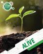 It'S Alive - Preview