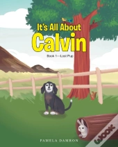 It'S All About Calvin