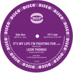 Capa do artigo It's My Life I'm Fighting For/Shape Your Mind to Die - Vinil