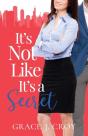 It'S Not Like It'S A Secret - Preview