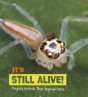 It'S Still Alive! - Preview