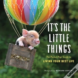 Capa do artigo It'S The Little Things