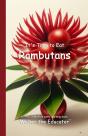 It'S Time To Eat Rambutans - Preview