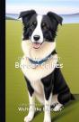 It'S Time To Learn About Border Collies - Preview
