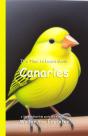 It'S Time To Learn About Canaries - Preview