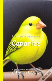 Capa do artigo It