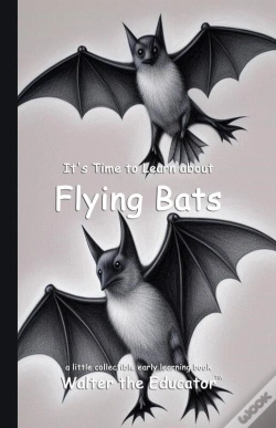 Capa do artigo It'S Time To Learn About Flying Bats