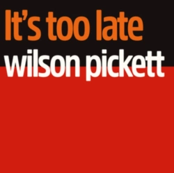 Capa do artigo It's Too Late - Vinil