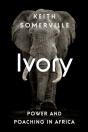 Ivory - Preview