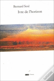 Capa do artigo Ivre De L