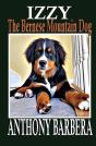 Izzy The Bernese Mountain Dog - Preview