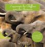J Apprends Les Chiffres Avec Les Animaux - Preview