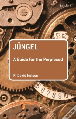 Capa do artigo J Ngel: A Guide For The Perplexed