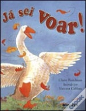 Capa do artigo Já Sei Voar!
