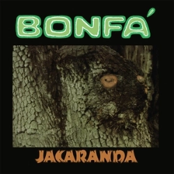 Capa do artigo Jacaranda - Vinil