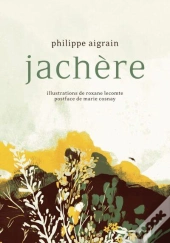 Jachère