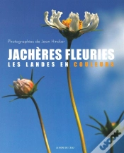Capa do artigo Jachères Fleuries ; Les Landes En Couleur