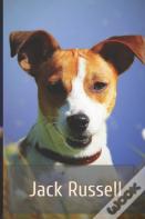 Jack Russell