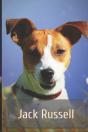 Jack Russell - Preview