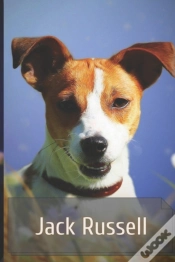 Capa do artigo Jack Russell