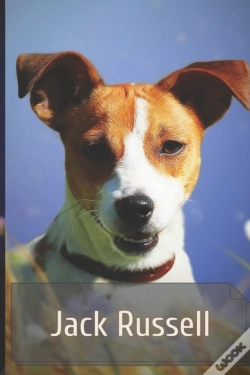 Capa do artigo Jack Russell