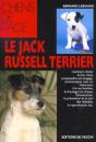 Jack Russell Terrier - Preview
