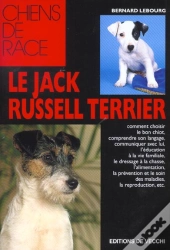 Jack Russell Terrier