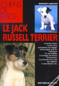 Capa do artigo Jack Russell Terrier