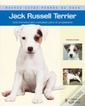 Capa do artigo Jack Russell Terrier