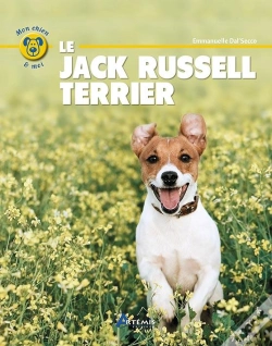 Capa do artigo Jack Russell Terrier